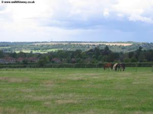 View from Chinthurst Hill